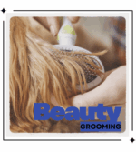 GlowAura Skincare - Image 20